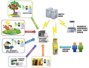物聯(lián)網(wǎng)技術(shù)賦能產(chǎn)業(yè)升級 防偽、食品安全與新材料研發(fā)的革新應(yīng)用